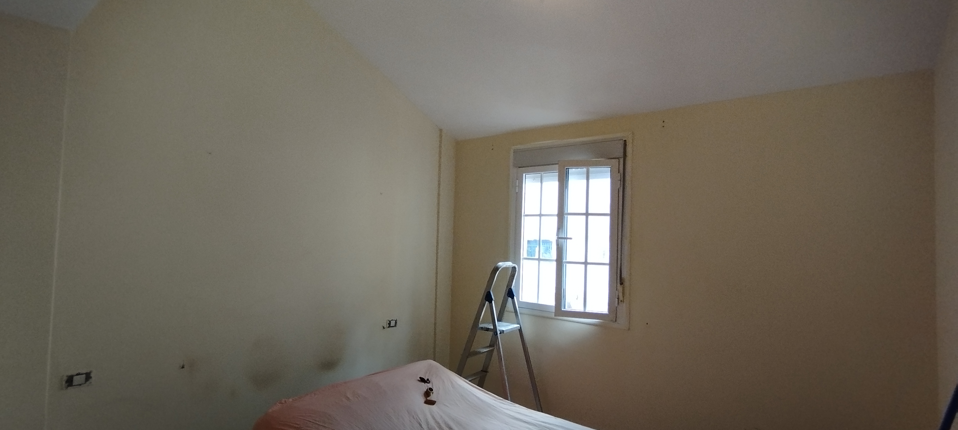 galeria Pinturas